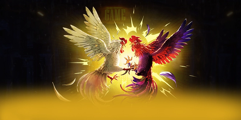 Giải đáp thắc mắc về 8XBET Giải đáp thắc mắc về 8XBET